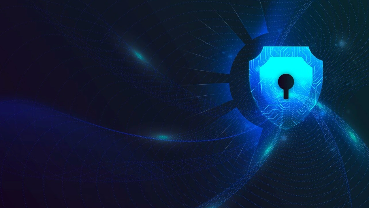 Politique de Confidentialité